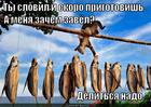https://lolkot.ru/2013/09/11/delitsya-nado/