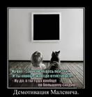 https://lolkot.ru/2013/03/12/demotivatsiya-malevicha/