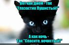 https://lolkot.ru/2016/08/02/den-i-noch/