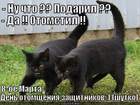 https://lolkot.ru/2012/03/12/den-otomscheniya-zaschitnikov/
