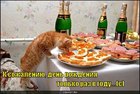 https://lolkot.ru/2011/10/30/den-rozhdeniya-2/