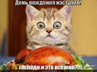 https://lolkot.ru/2012/12/18/den-rozhdeniya-4/