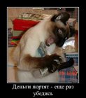 https://lolkot.ru/2012/01/25/dengi-portyat/