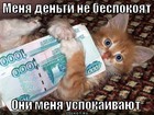 https://lolkot.ru/2012/04/04/dengi-uspokaivayut/