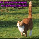 https://lolkot.ru/2010/10/17/derzhi-menya-narod/