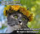 https://lolkot.ru/2015/07/15/detey-sdelal-i-propal-bez-vesti/