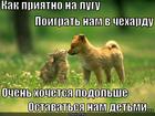https://lolkot.ru/2013/02/22/detstvo-moyo-postoy/