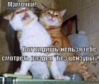 https://lolkot.ru/2012/11/11/detyam-do-16-ti/
