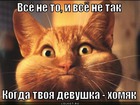 https://lolkot.ru/2012/05/31/devushka-homyak/