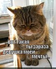 https://lolkot.ru/2012/02/20/devushka-moyey-mechty/