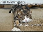 https://lolkot.ru/2010/07/06/deystvuyu-ne-glyadya/