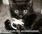 https://lolkot.ru/2013/03/21/dezinfektor/