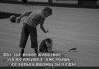 https://lolkot.ru/2011/05/09/dikoye-zhivotnoye/