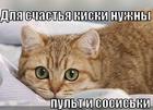 https://lolkot.ru/2013/01/08/dlya-schastya/