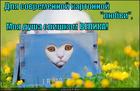 https://lolkot.ru/2015/05/09/dlya-sovremennoy-kartonnoy-lyubvi-moya-dusha-slishkom-velika/