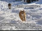 https://lolkot.ru/2012/09/10/do-kanadskoy-granitsy/
