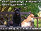 https://lolkot.ru/2013/02/10/do-krizisa/