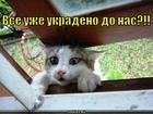https://lolkot.ru/2012/09/17/do-nas/
