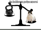 https://lolkot.ru/2011/02/28/dobra-mnogo/