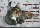 https://lolkot.ru/2019/03/20/dobraya-mechta/