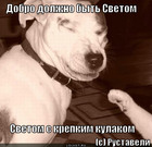 https://lolkot.ru/2012/03/12/dobro-dolzhno-byt-svetom/