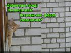 https://lolkot.ru/2016/05/12/dobroye-utro-4/