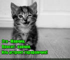 https://lolkot.ru/2016/01/11/dohodchivyy-prositel/