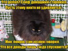 https://lolkot.ru/2016/04/03/dohodnoye-mesto/