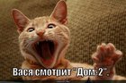 https://lolkot.ru/2010/07/09/dom-2-2/
