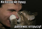 https://lolkot.ru/2012/09/18/doma-nos-otgryzu/