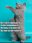 https://lolkot.ru/2016/03/23/domashniy-regulirovschik/