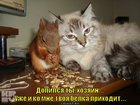 https://lolkot.ru/2012/06/08/dopilsya-ty-hozyain/