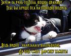 https://lolkot.ru/2016/04/10/dorozhnyye-razborki/