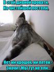https://lolkot.ru/2016/04/21/dosadnoye-upuscheniye/
