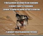 https://lolkot.ru/2024/06/06/dostoynyy-potomok/