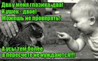 https://lolkot.ru/2016/08/19/dotoshnyy-auditor/