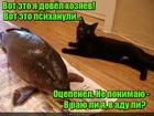 https://lolkot.ru/2015/11/14/dovodchik-hozyayev/