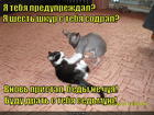 https://lolkot.ru/2015/08/30/draniki/
