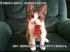 https://lolkot.ru/2010/10/18/dress-kod/