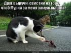 https://lolkot.ru/2012/06/18/drug-vyruchi-svistni-na-gore/