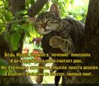 https://lolkot.ru/2014/03/12/dubovaya-roscha/