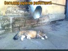 https://lolkot.ru/2010/10/28/dush-ne-rabotayet/