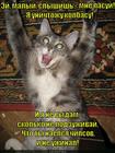 https://lolkot.ru/2015/05/15/dva-refrezhiratora/