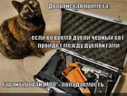 https://lolkot.ru/2012/02/07/dvoryanskaya-primeta/