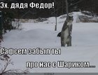https://lolkot.ru/2010/01/07/dyadya-fedor/