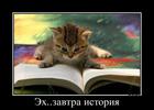 https://lolkot.ru/2013/01/14/eh-zavtra-istoriya/
