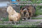 https://lolkot.ru/2013/11/27/ekologicheskiy-mur/