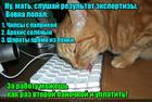 https://lolkot.ru/2016/03/12/ekspertnoye-zaklyucheniye-kotpotrebnadzora/