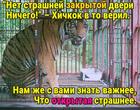 https://lolkot.ru/2025/01/22/emotsilnalnyye-dveri/