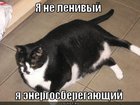 https://lolkot.ru/2012/05/01/energosberegayuschiy/